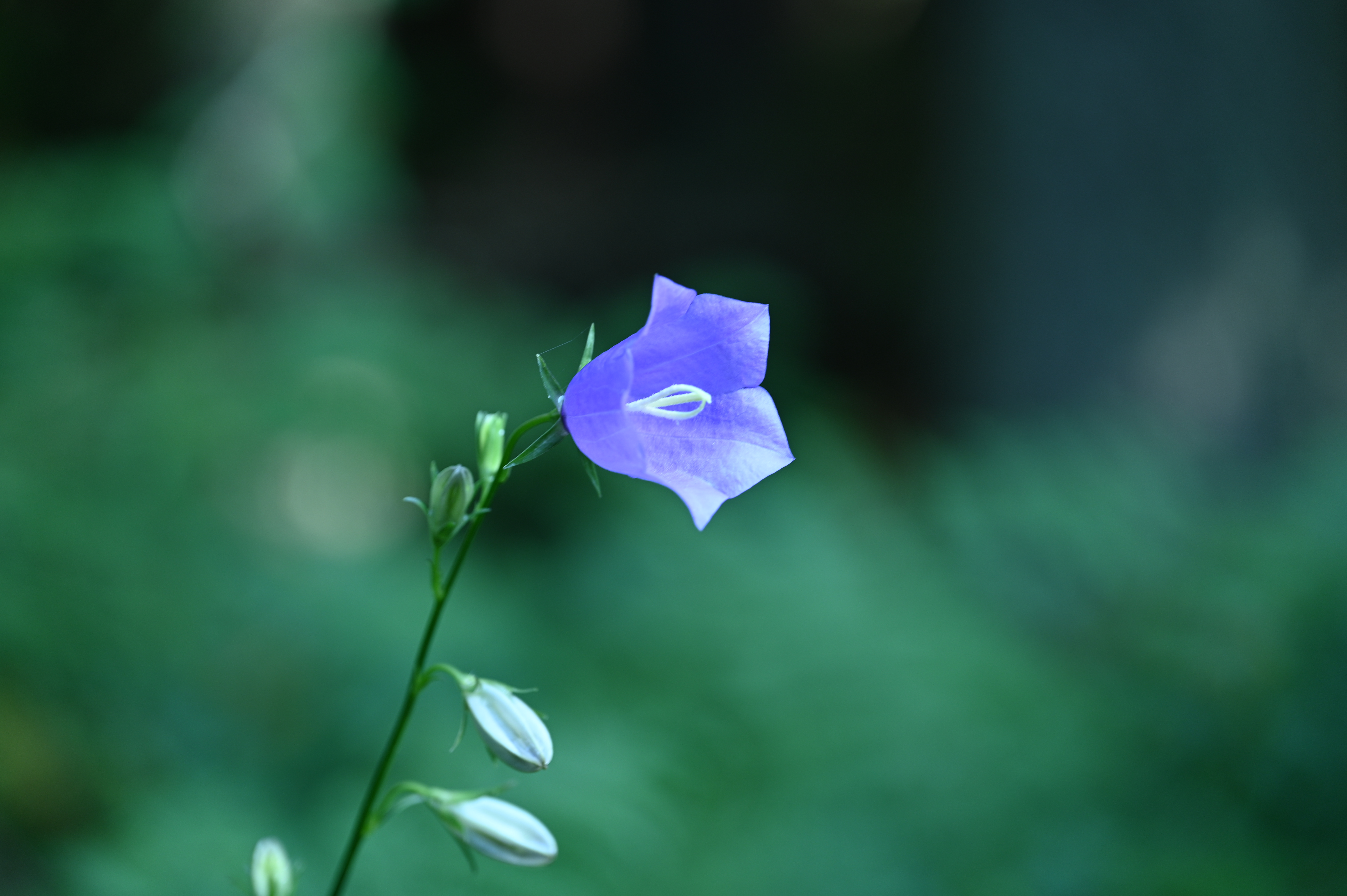 2025/07/09-14 - trip/DSC_0276.JPG